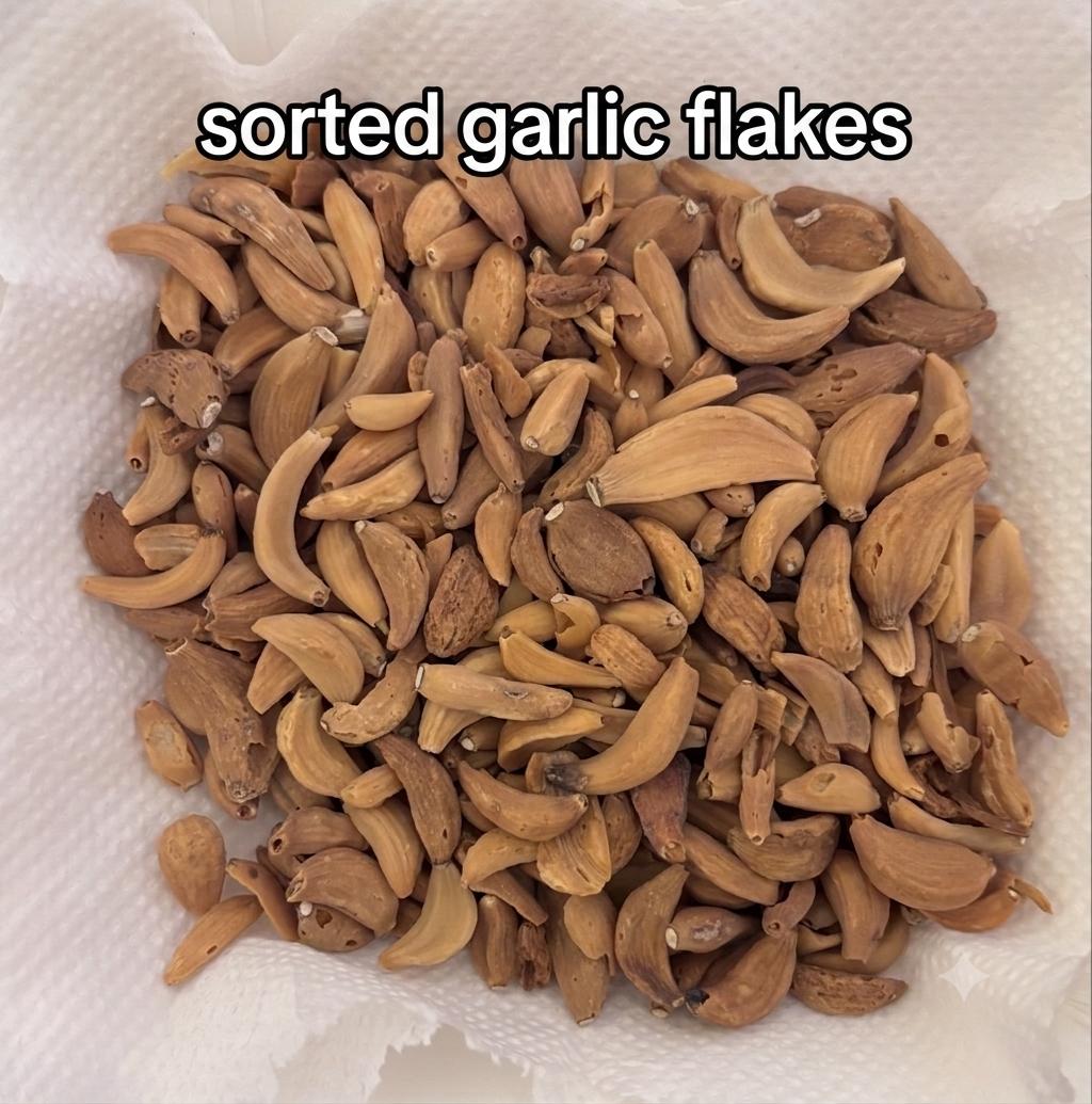 Dehydrated Garlic